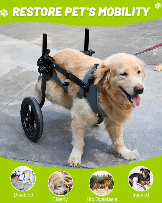 Rear Leg Wheelchair for Large Dogs – Restore Mobility & Freedom