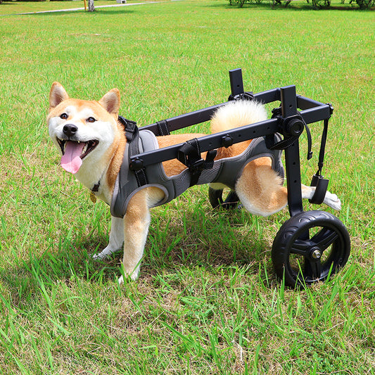 Großer Hunderollstuhl für die Hinterbeine – Robuste Geländeräder, stabiler Aluminiumrahmen, komfortables, atmungsaktives Netzgewebe für Hunde, Hüftstützsystem, stellt die Mobilität bei Arthritis und Verletzungen wieder her