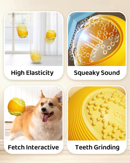 Dog Squeaky Chew Ball – Durable Dental Toy for Aggressive Chewers