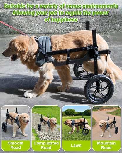 Rear Leg Wheelchair for Large Dogs – Restore Mobility & Freedom