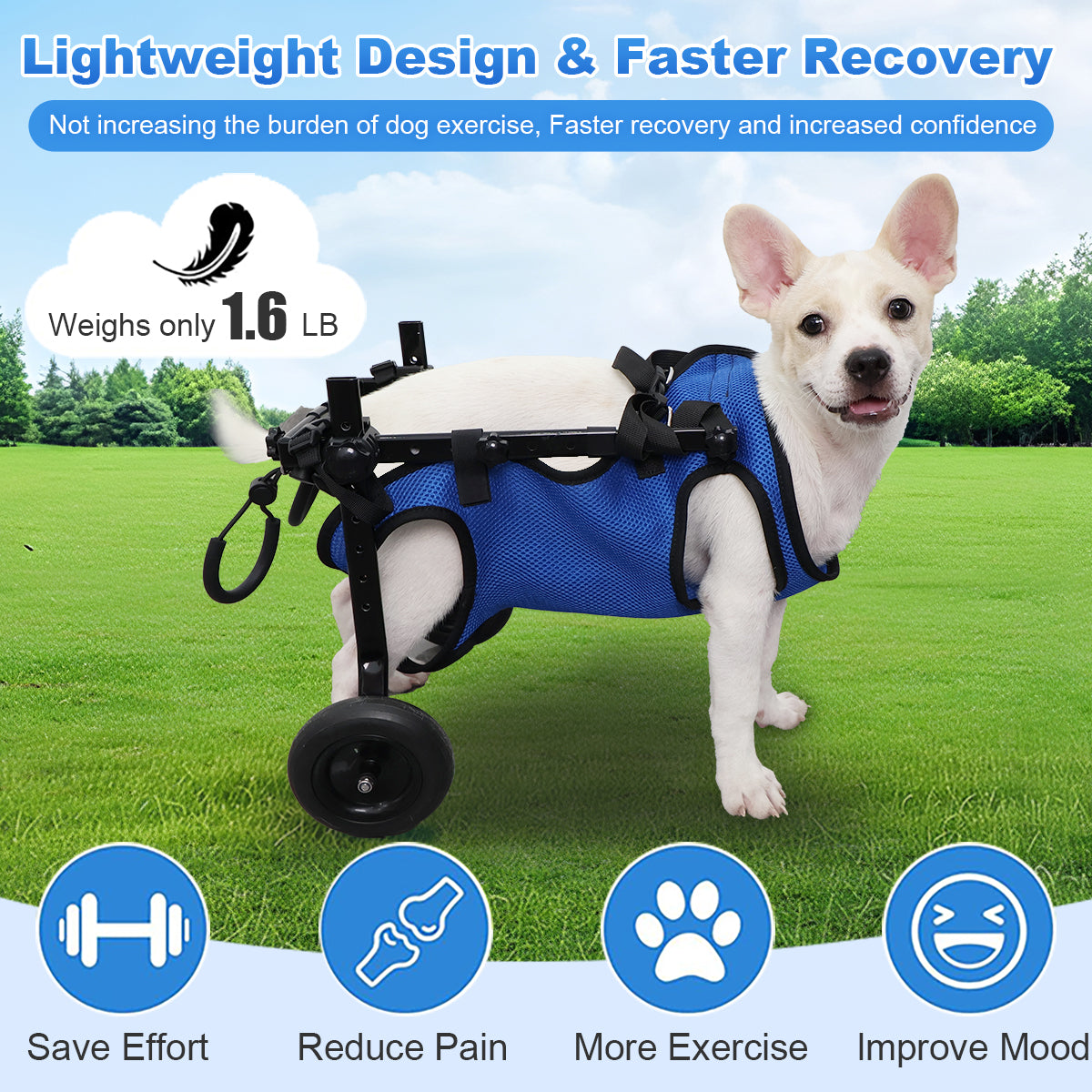 Dog Wheelchair for Hind Legs – Lightweight & Adjustable (XS)