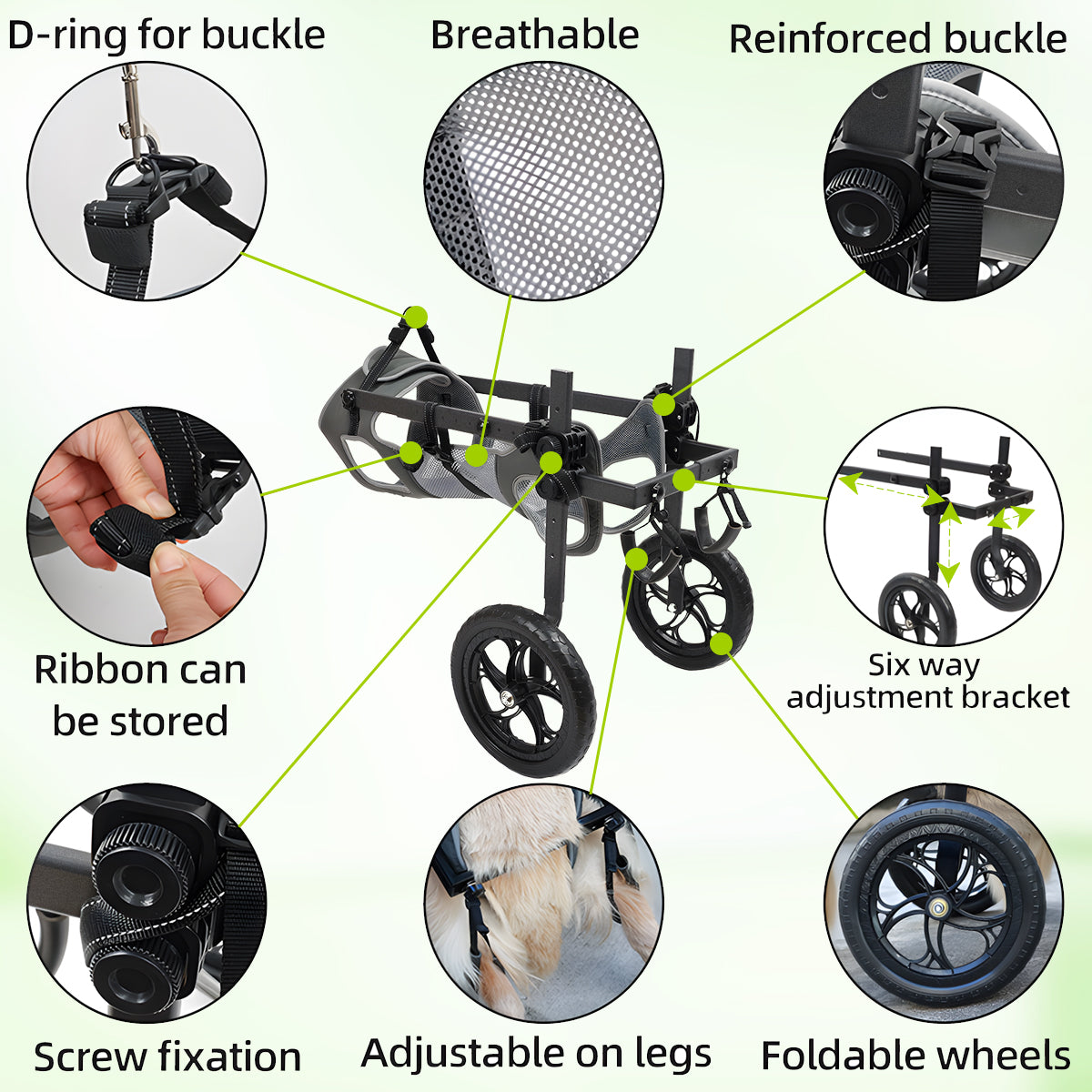 Rear Leg Wheelchair for Large Dogs – Restore Mobility & Freedom