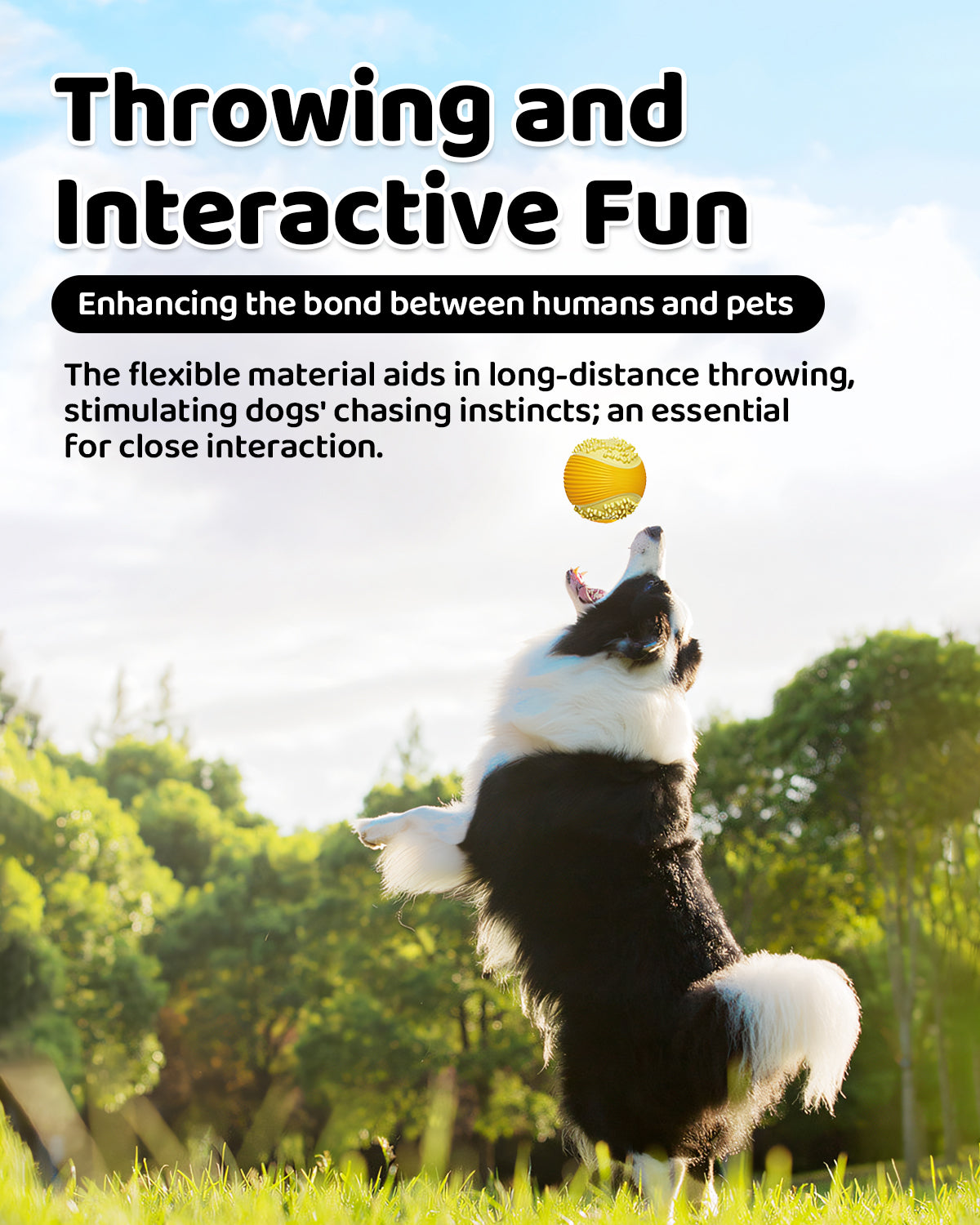 Dog Squeaky Chew Ball – Durable Dental Toy for Aggressive Chewers