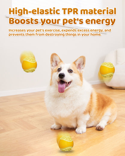 Dog Squeaky Chew Ball – Durable Dental Toy for Aggressive Chewers