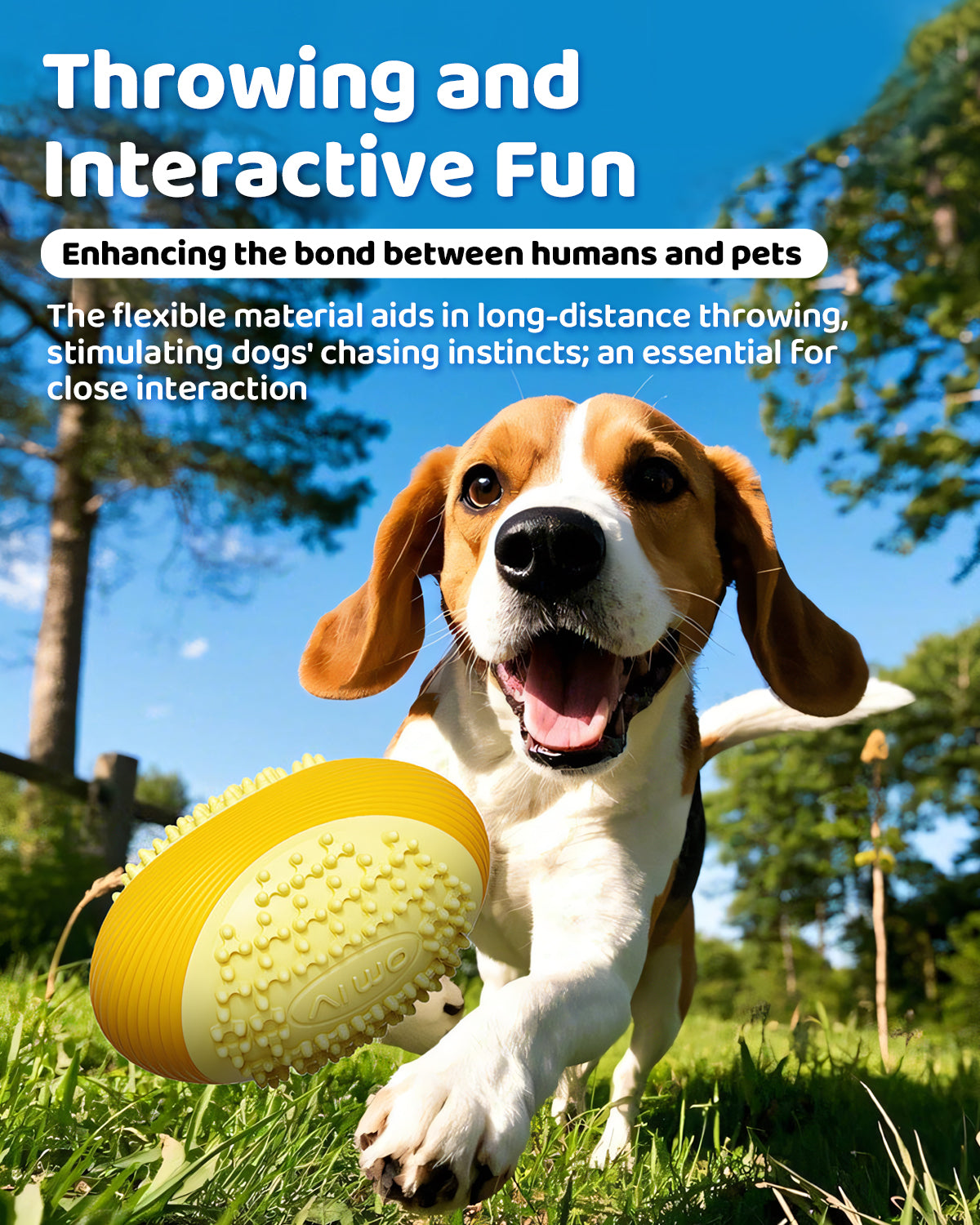 Olive Squeaky Dog Chew Ball – Durable Dental Toy for Aggressive Chewers