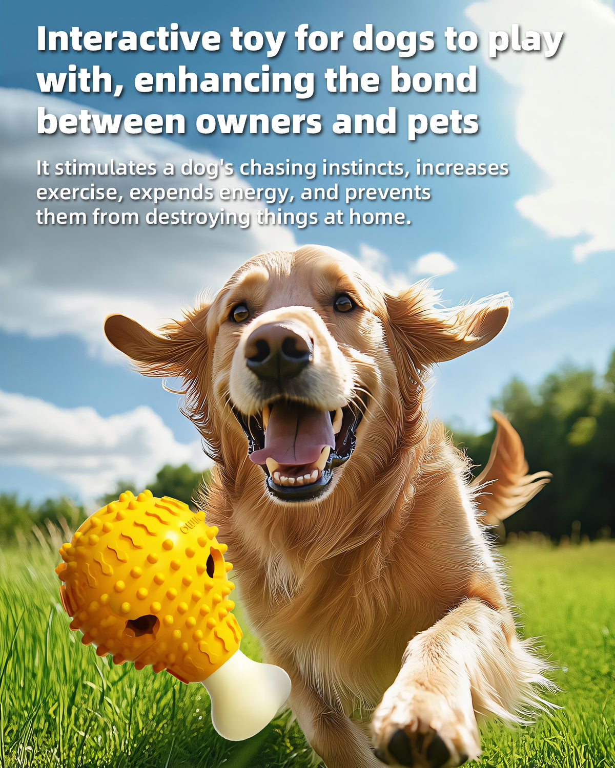 Dog Treat Dispenser Chew Toy – Squeaky, Interactive & Slow Feeding