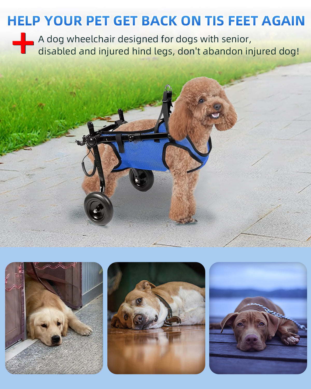 Dog Wheelchair for Hind Legs – Lightweight & Adjustable (XS)