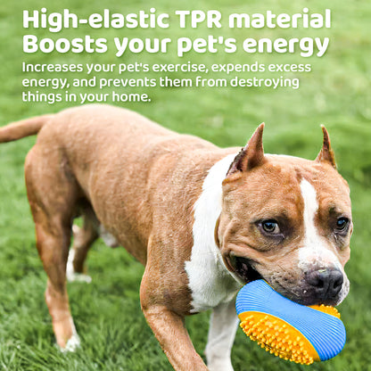 Olive Squeaky Dog Chew Ball – Durable Dental Toy for Aggressive Chewers