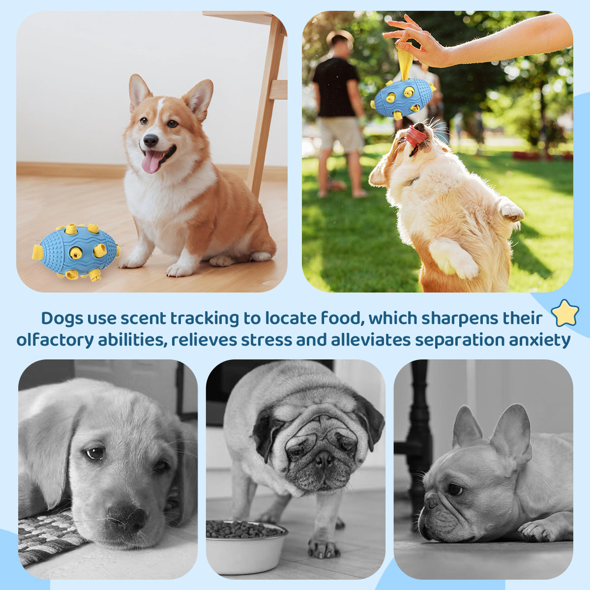 Interactive Dog Treat Dispenser Toy – Natural Rubber Soccer Design