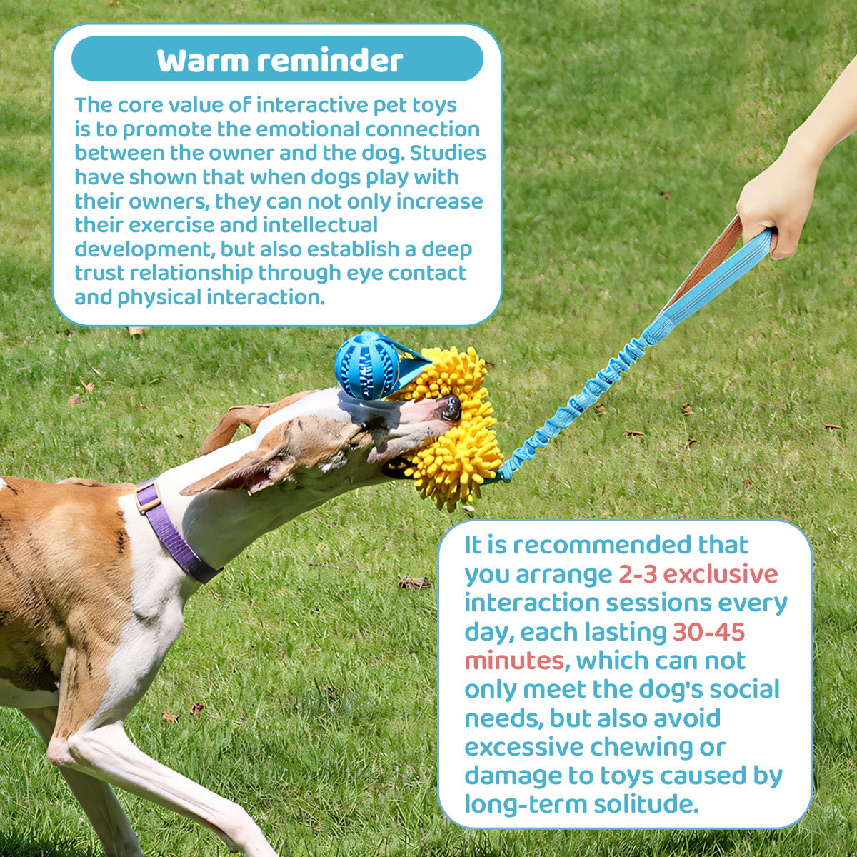 Dog Tug of War Toy – Interactive Chew & Teeth Cleaning Toy