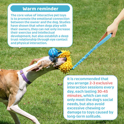 Dog Tug of War Toy – Interactive Chew & Teeth Cleaning Toy