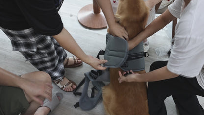 Rear Leg Wheelchair for Large Dogs – Restore Mobility & Freedom